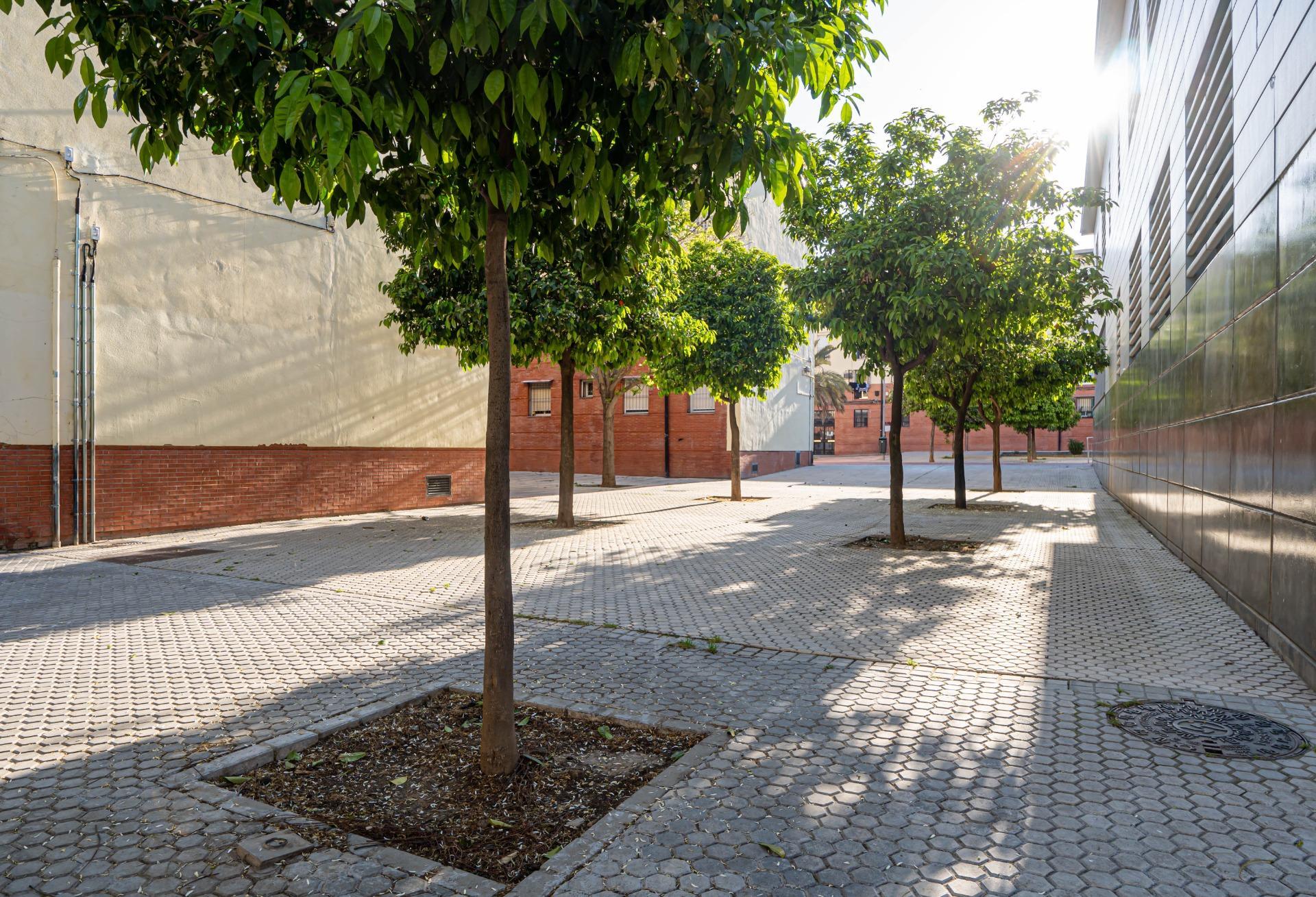 Appartement in Sevilla