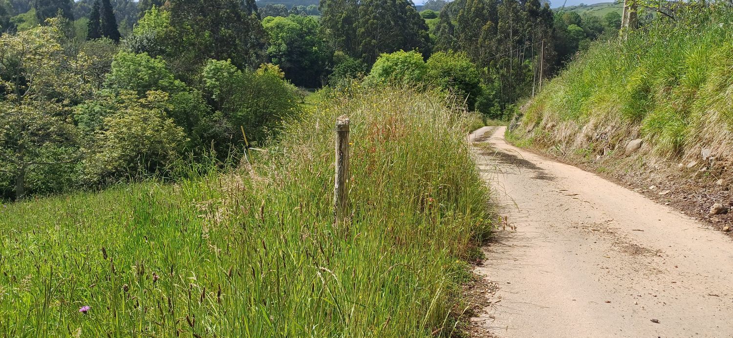 Fincas y solares-Venta-1731766