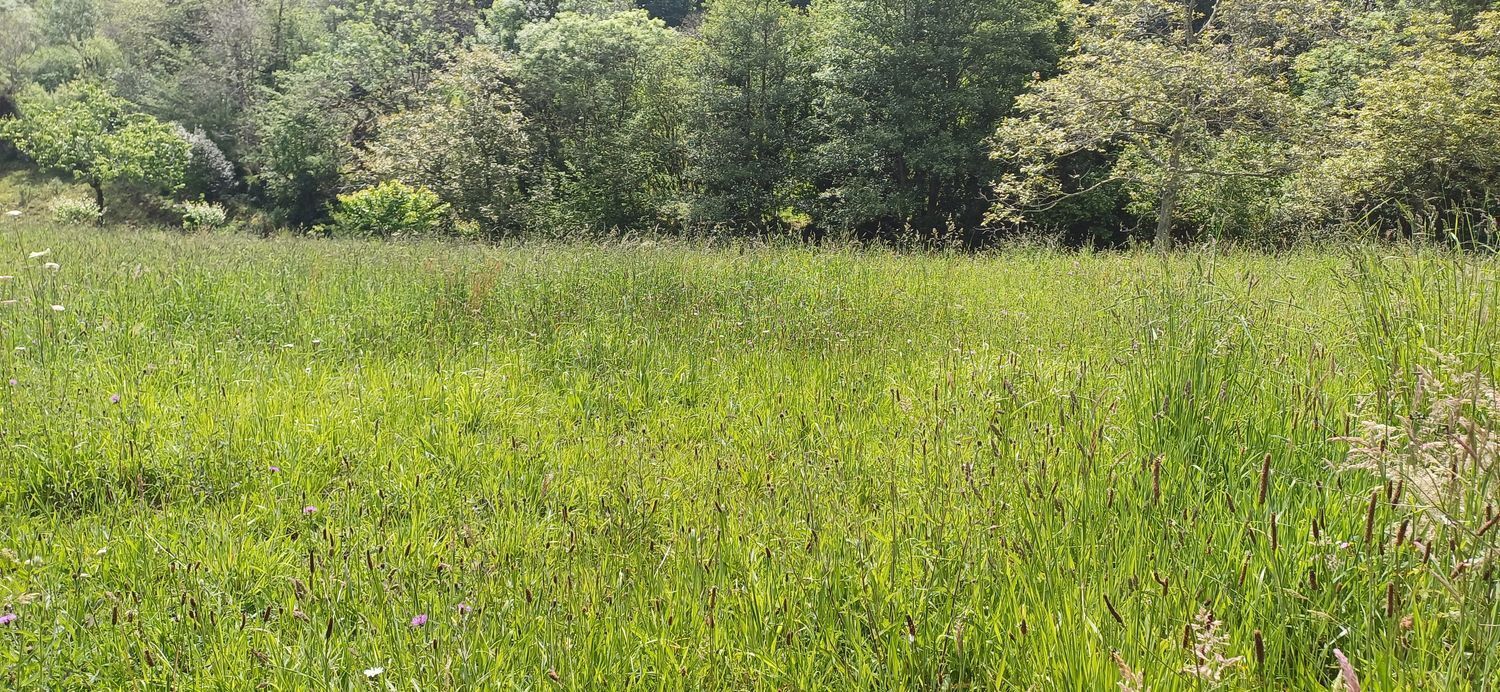 Fincas y solares-Venta-Las Tres Villas-1731766-Foto-3