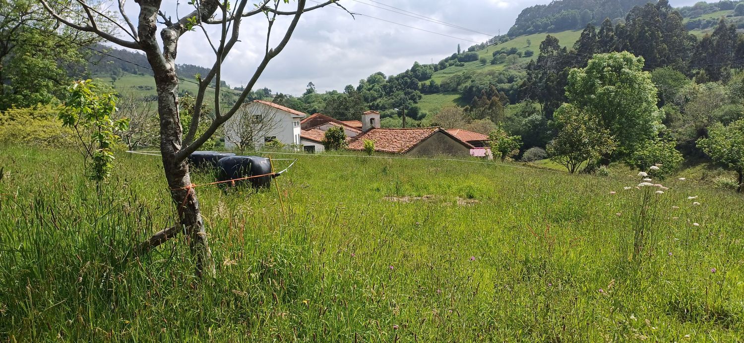 Fincas y solares-Venta-Las Tres Villas-1731766-Foto-4