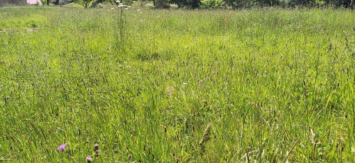 Fincas y solares-Venta-Las Tres Villas-1731766-Foto-6