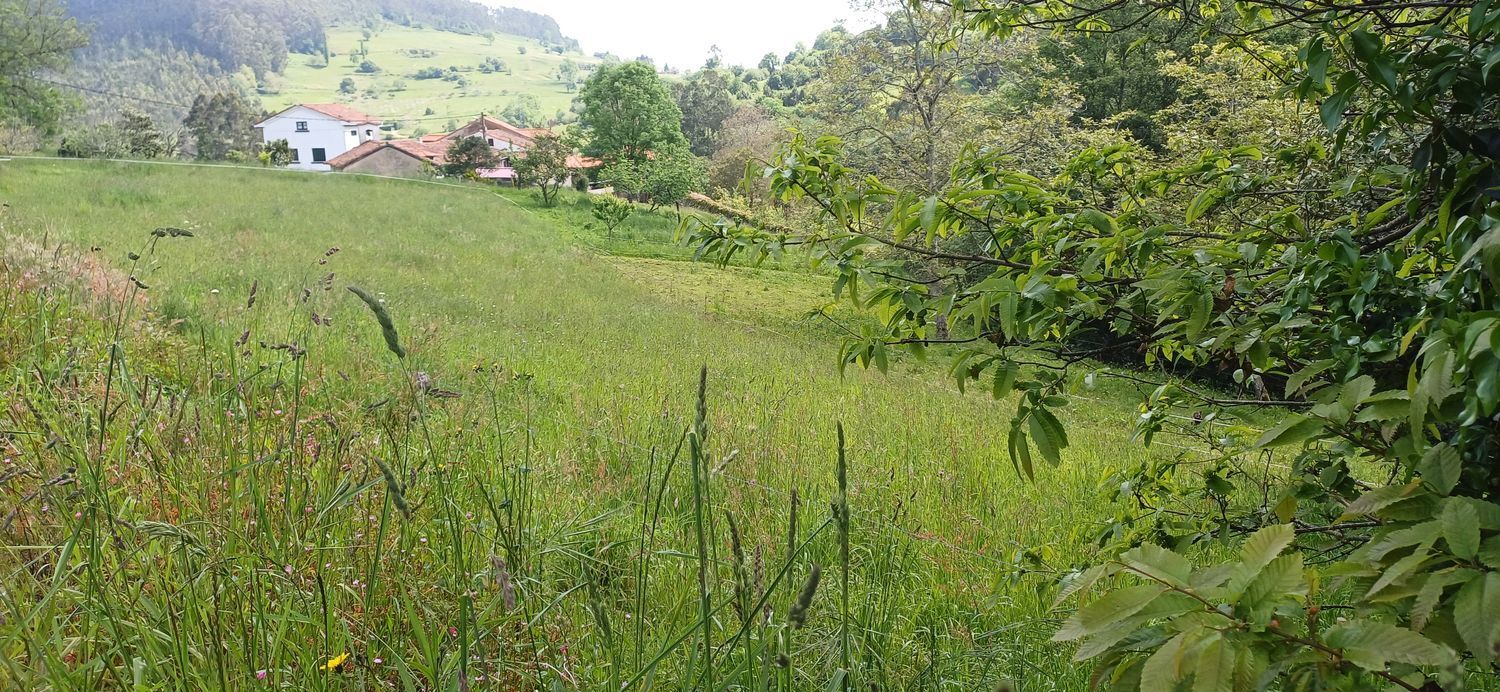 Fincas y solares-Venta-Las Tres Villas-1731766-Foto-11