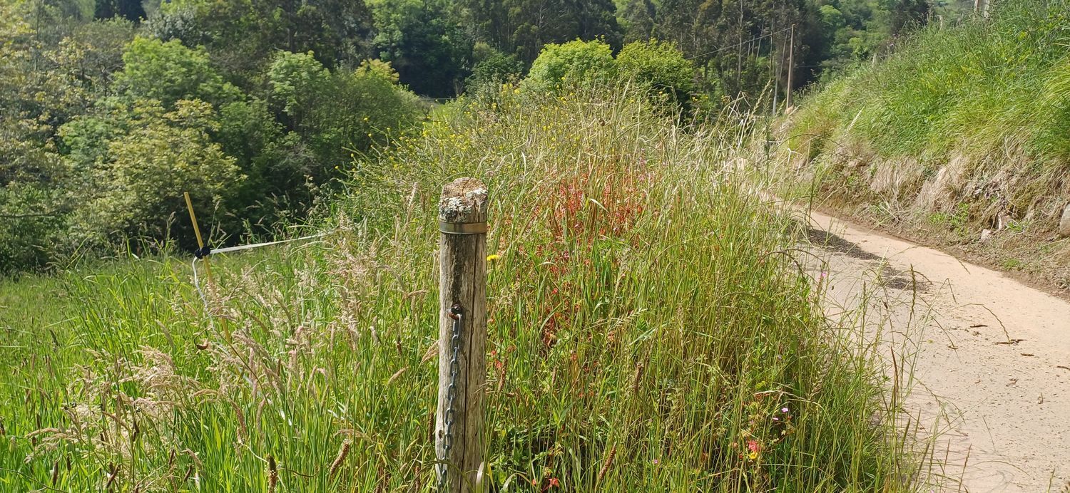 Fincas y solares-Venta-Las Tres Villas-1731766-Foto-8