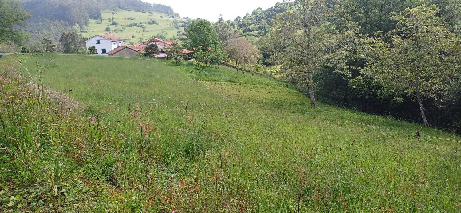 Fincas y solares-Venta-Las Tres Villas-1731766-Foto-10