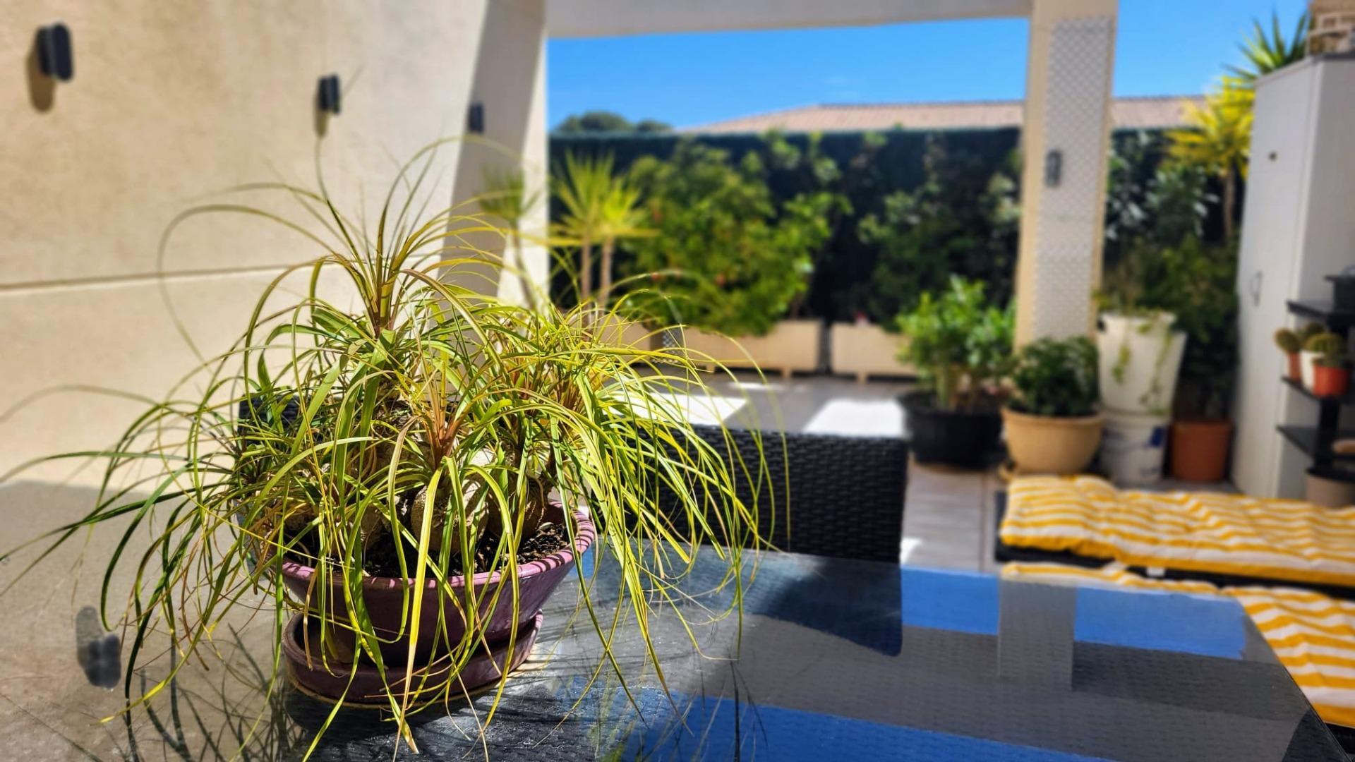 Appartement in Denia