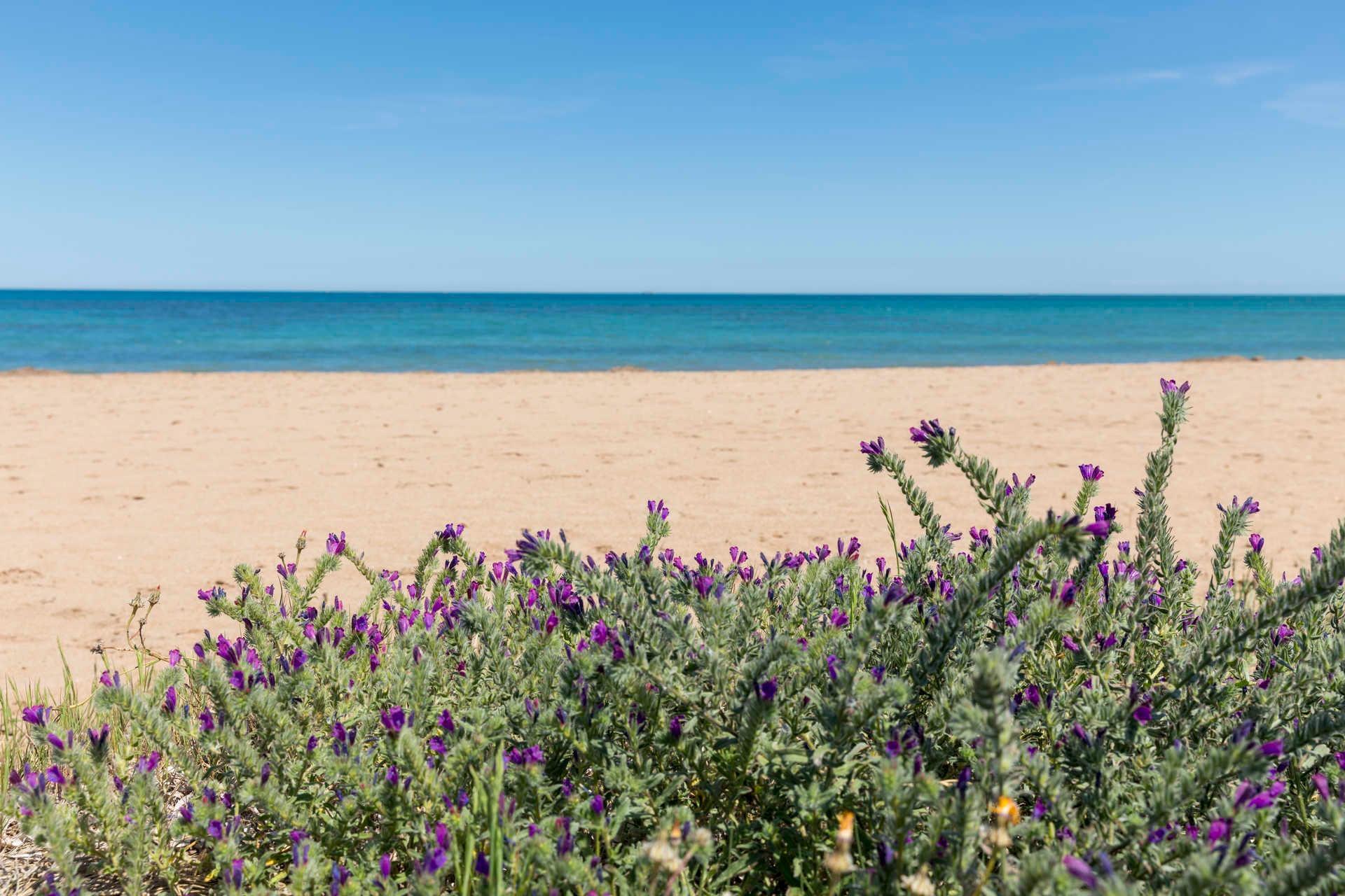 Appartement in Denia