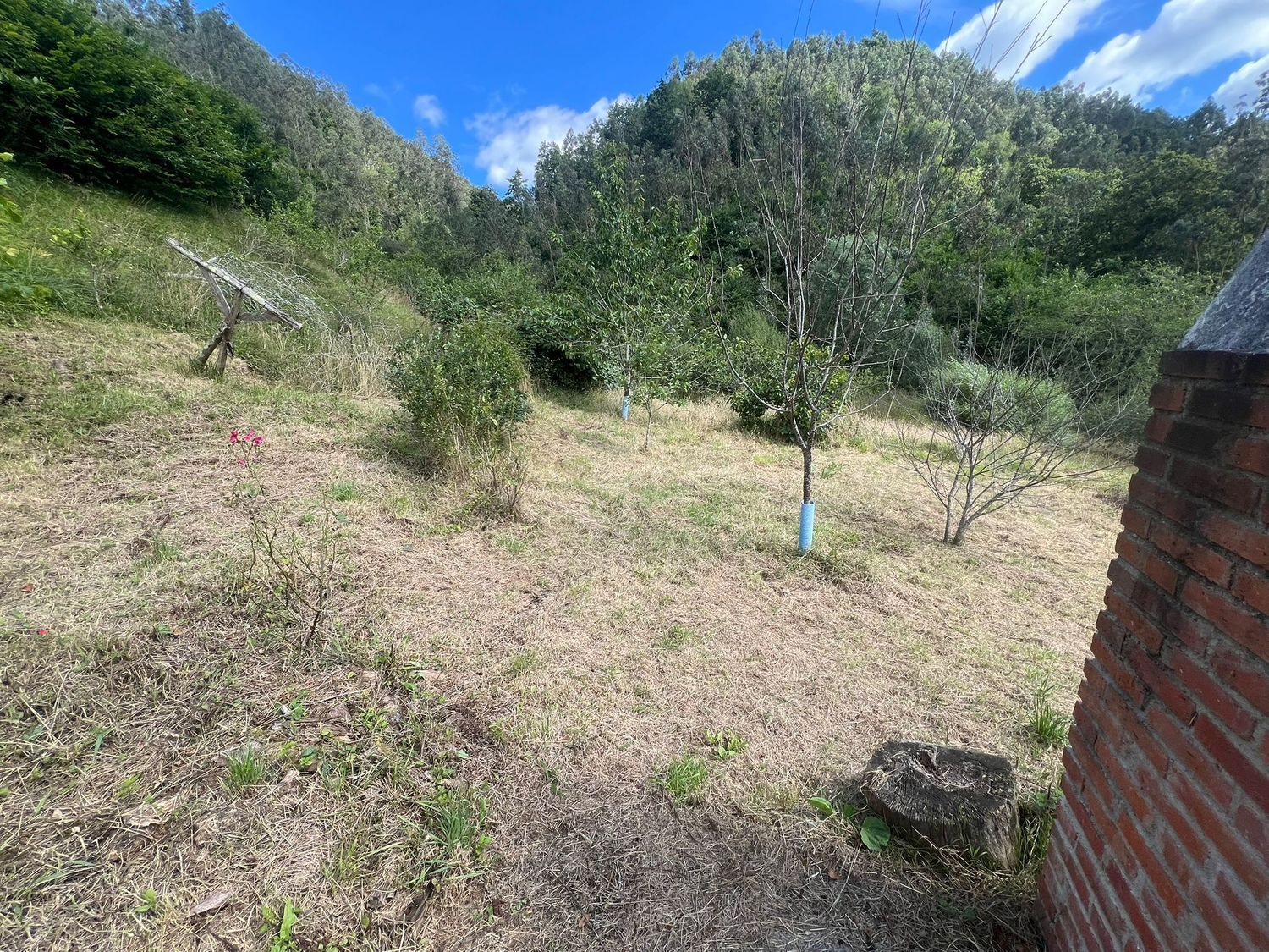 Casas o chalets-Venta-Colunga-1751780-Foto-76