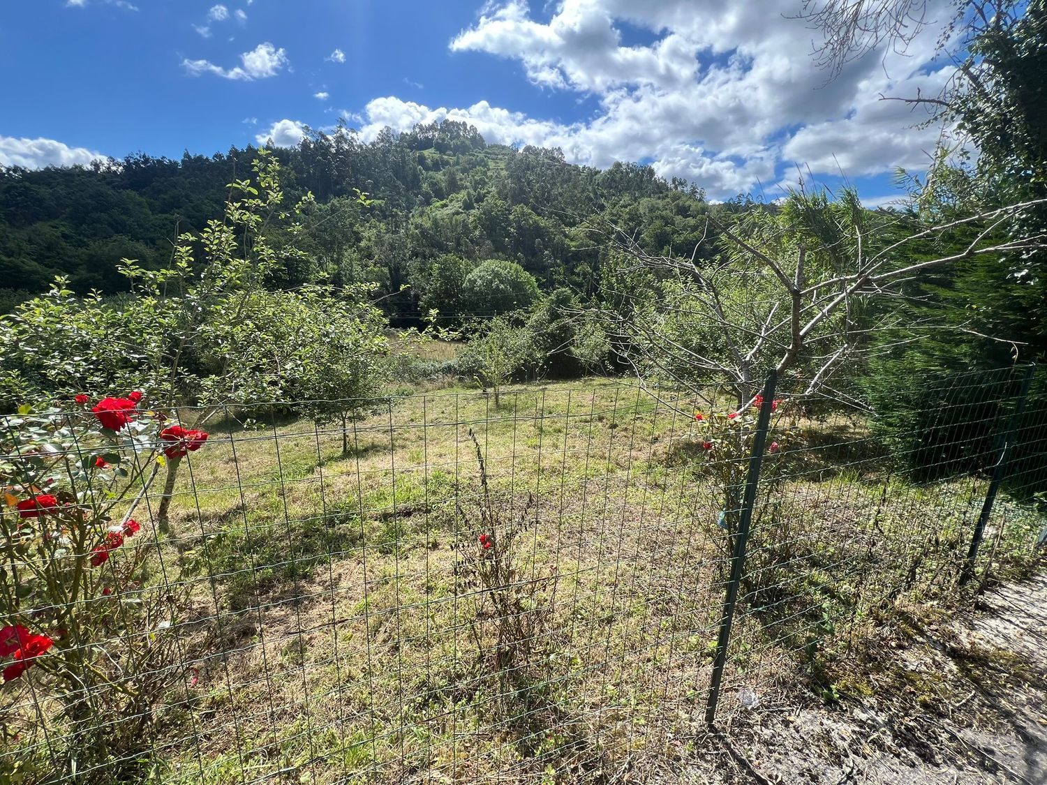 Casas o chalets-Venta-Colunga-1751780-Foto-82