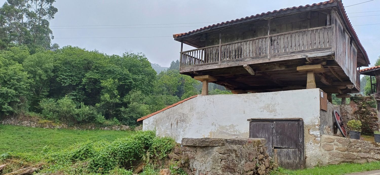 Fincas y solares-Venta-Las Tres Villas-1754058-Foto-12