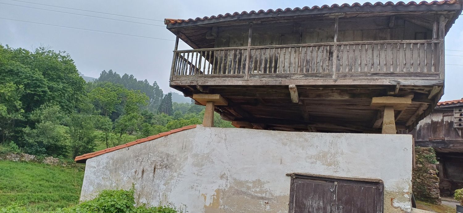 Fincas y solares-Venta-Las Tres Villas-1754058-Foto-10