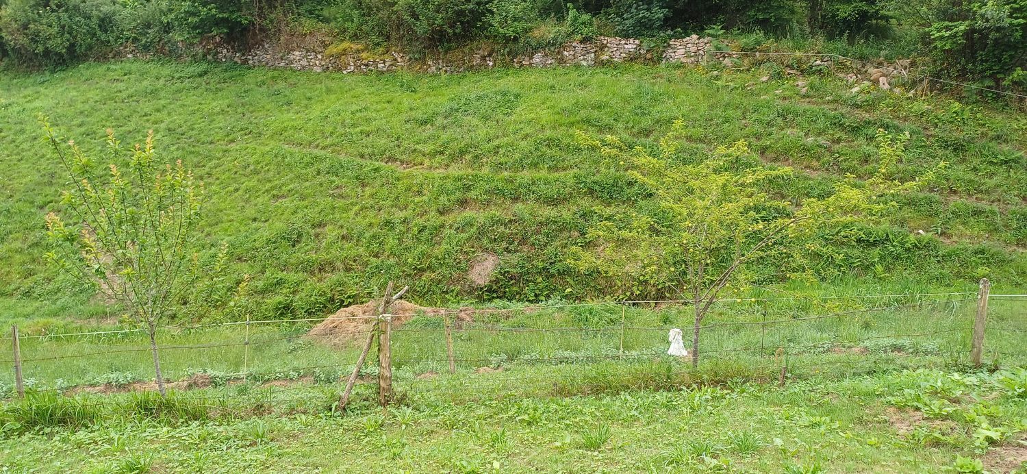 Fincas y solares-Venta-Las Tres Villas-1754058-Foto-16