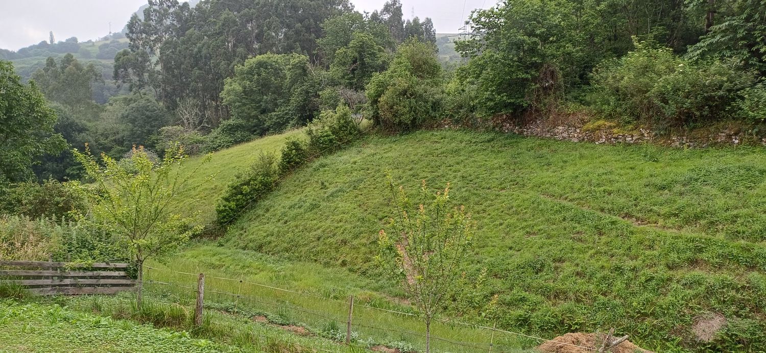 Fincas y solares-Venta-Las Tres Villas-1754058-Foto-18