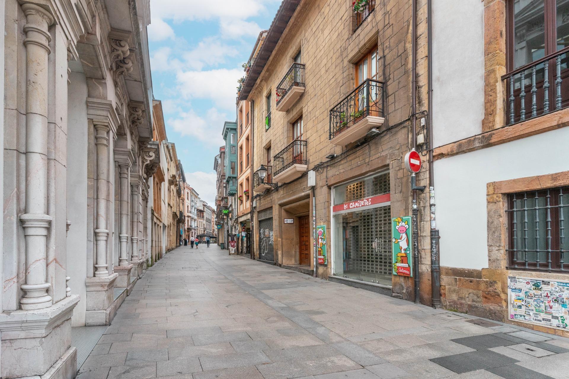 Pisos-Venta-Oviedo-2249632-Foto-14