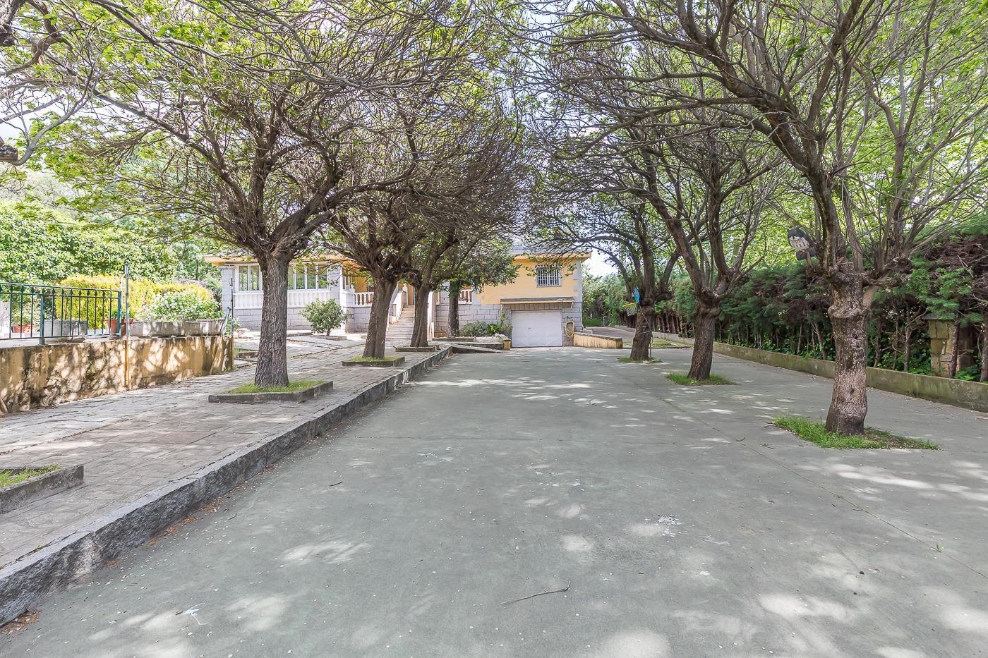 Casas o chalets-Venta-San Lorenzo de El Escorial-2249614-Foto-63