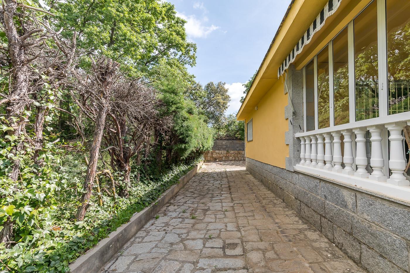 Casas o chalets-Venta-San Lorenzo de El Escorial-2249614-Foto-69