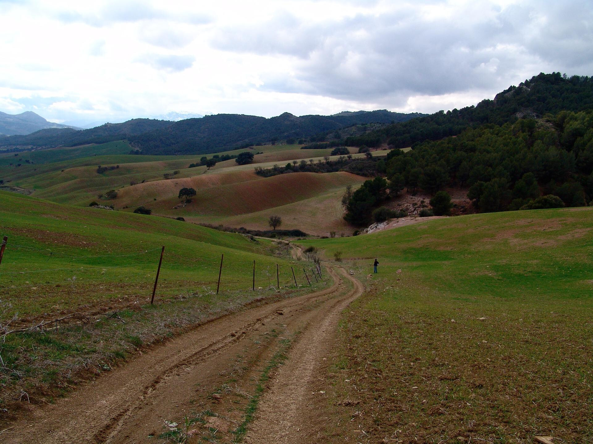 Fincas y solares-Venta-Ardales-2210561-Foto-2