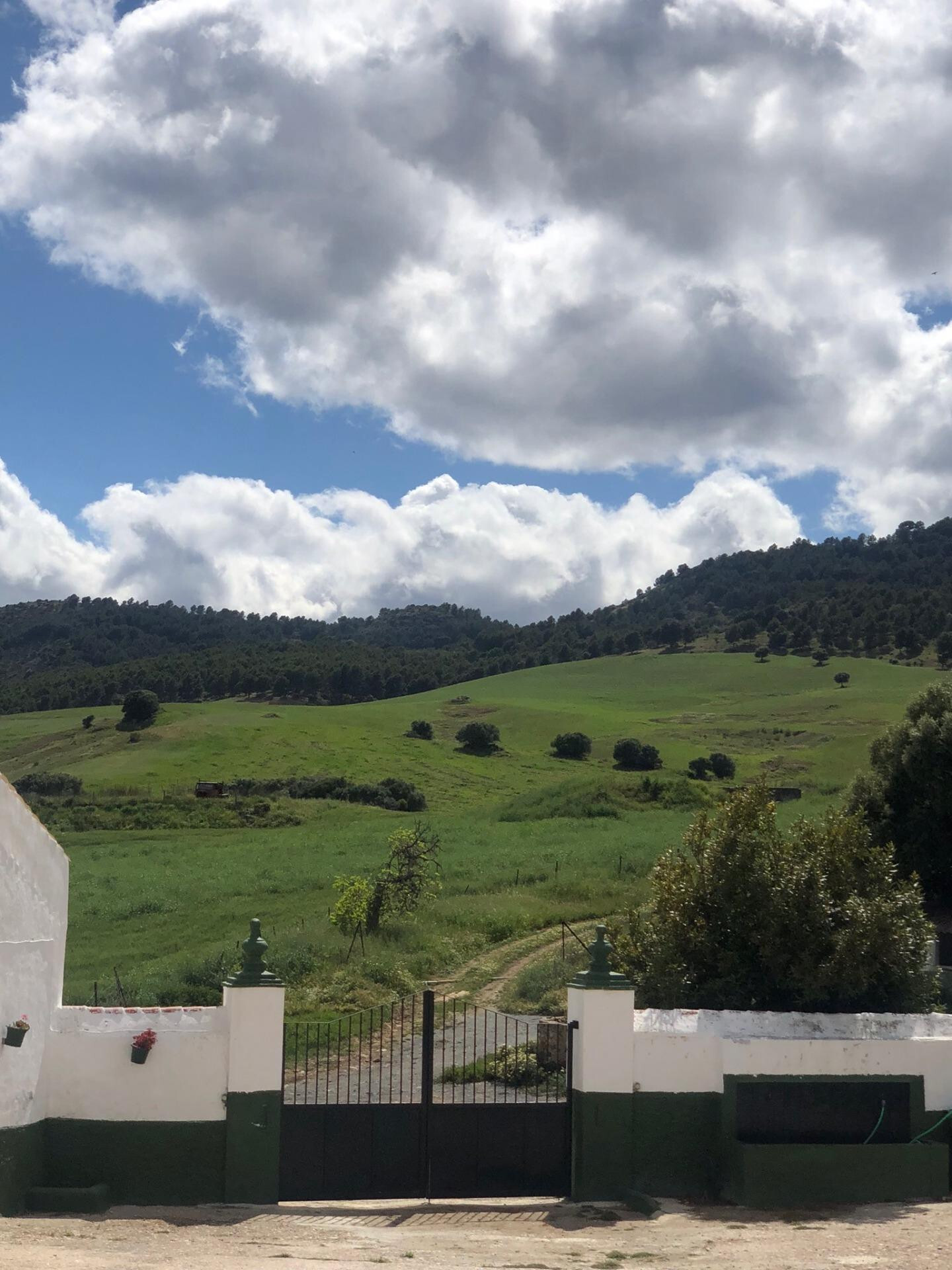 Fincas y solares-Venta-Ardales-2210561-Foto-16