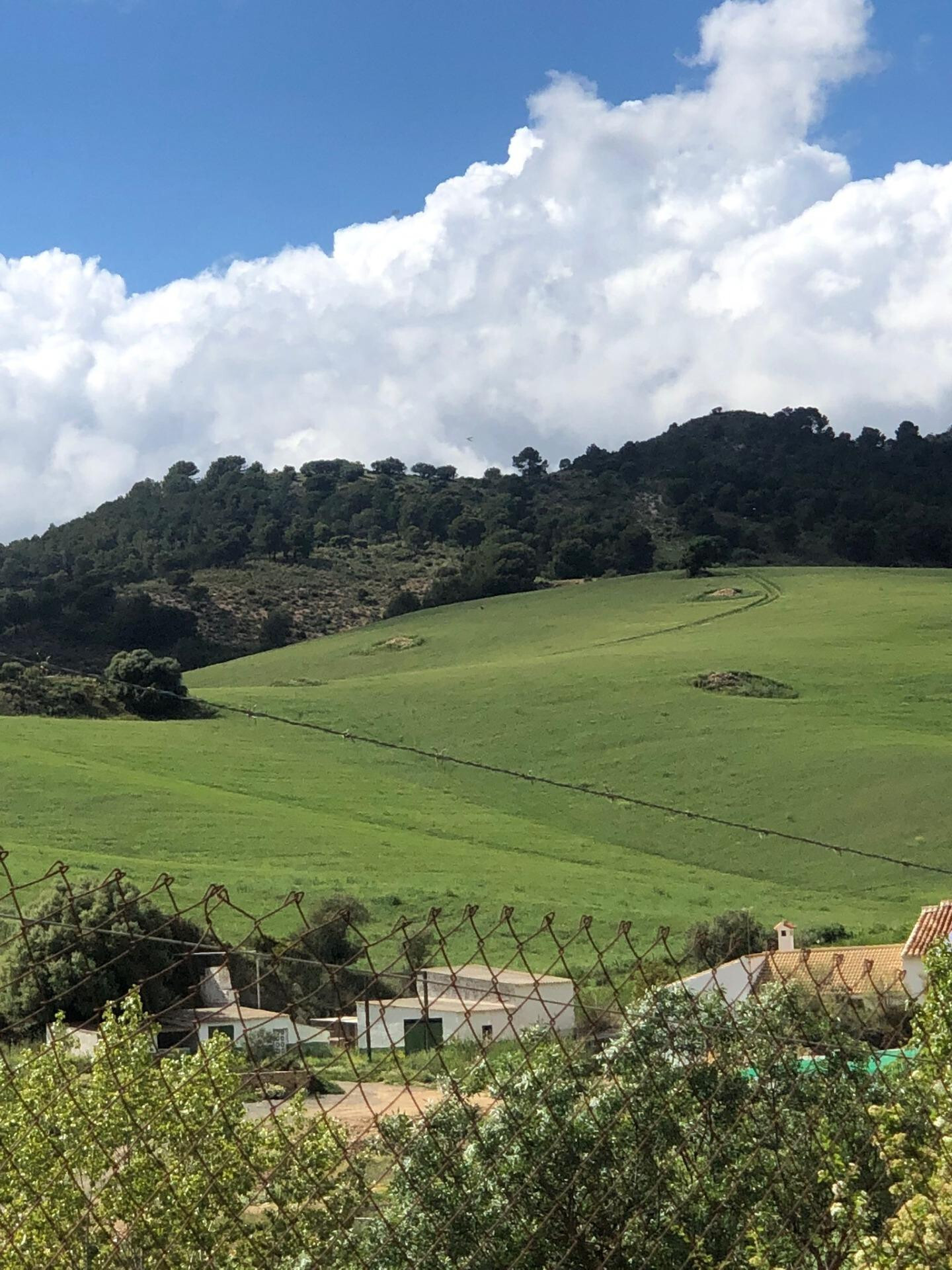 Fincas y solares-Venta-Ardales-2210561-Foto-18