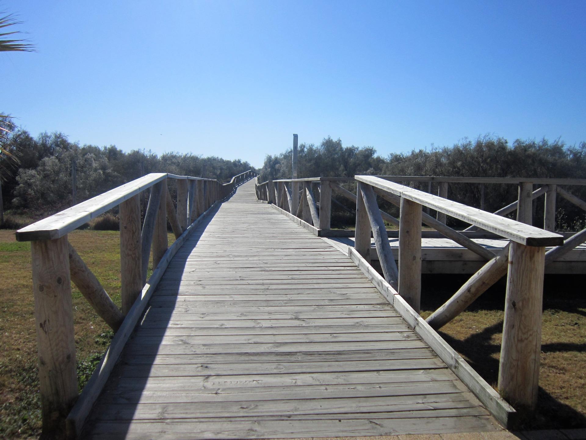 Casas o chalets-Venta-Ayamonte-1654572-Foto-36