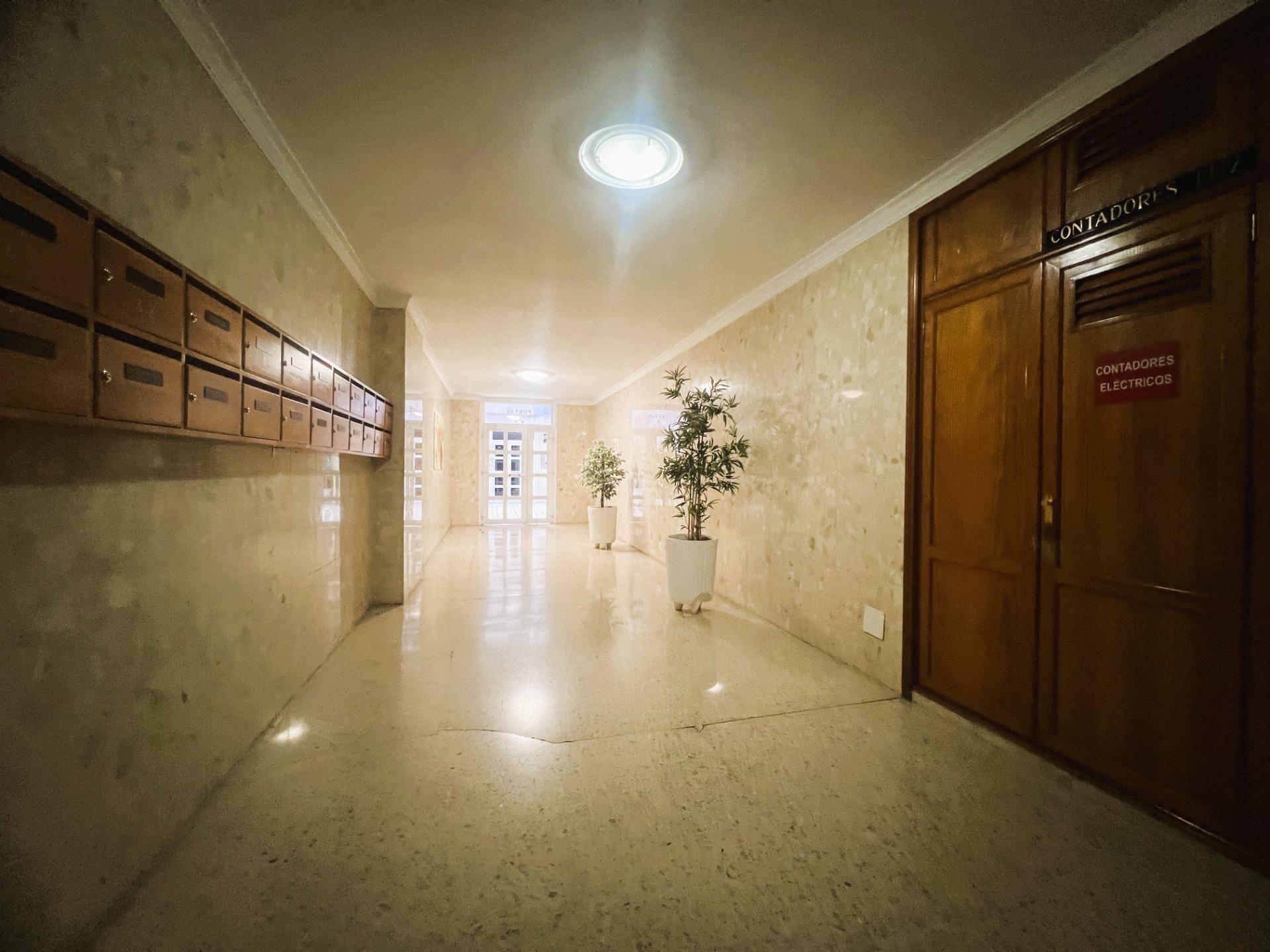 Pisos-Alquiler-Las Palmas de Gran Canaria-2249665-Foto-27