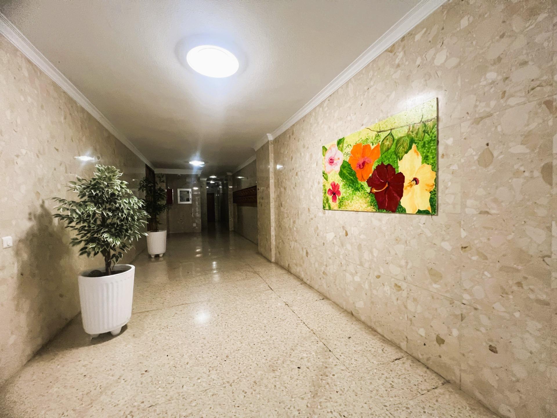 Pisos-Alquiler-Las Palmas de Gran Canaria-2249665-Foto-26