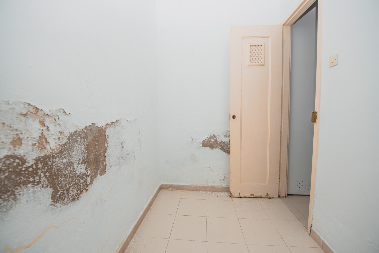 Negocios-Venta-Las Palmas de Gran Canaria-2249689-Foto-9