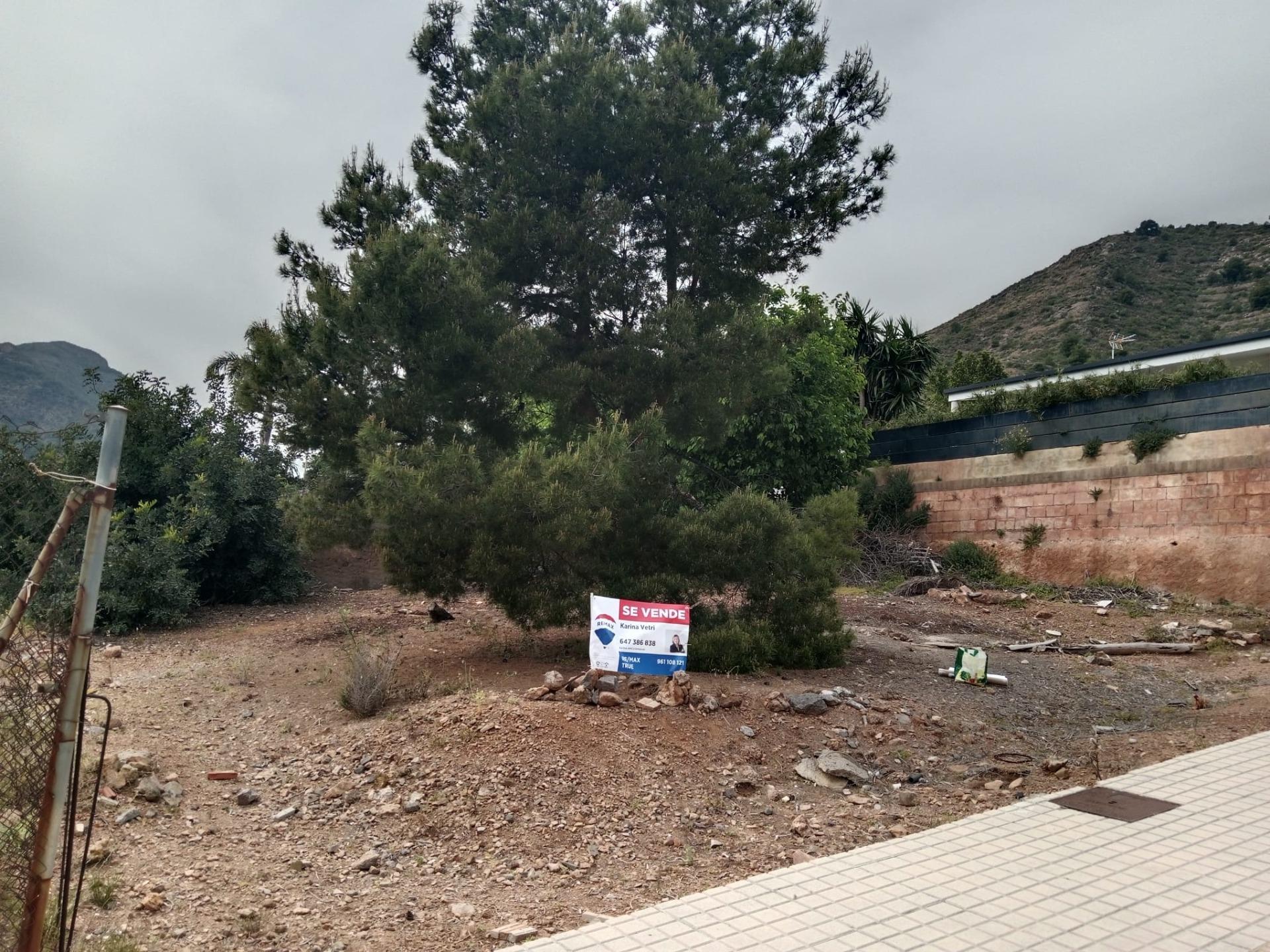 Fincas y solares-Venta-La Vall de Uixo-2115356-Foto-3