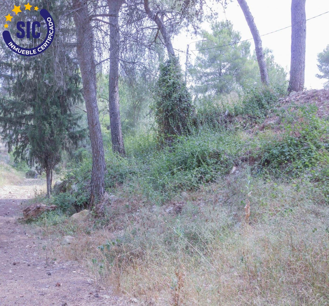Fincas y solares-Venta-Godelleta-456797-Foto-2