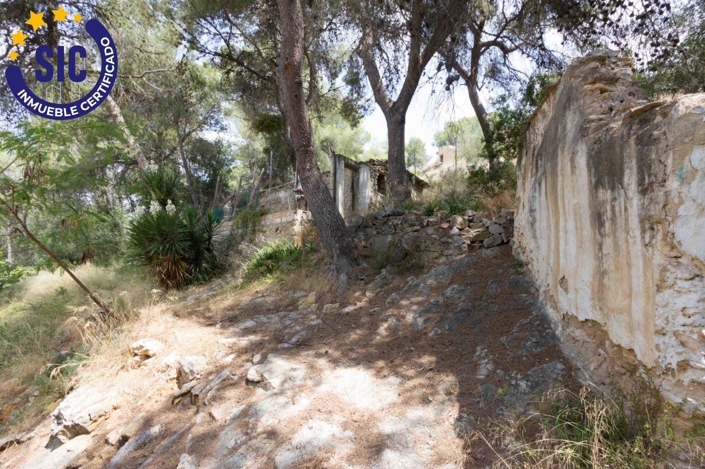 Fincas y solares-Venta-Godelleta-456797