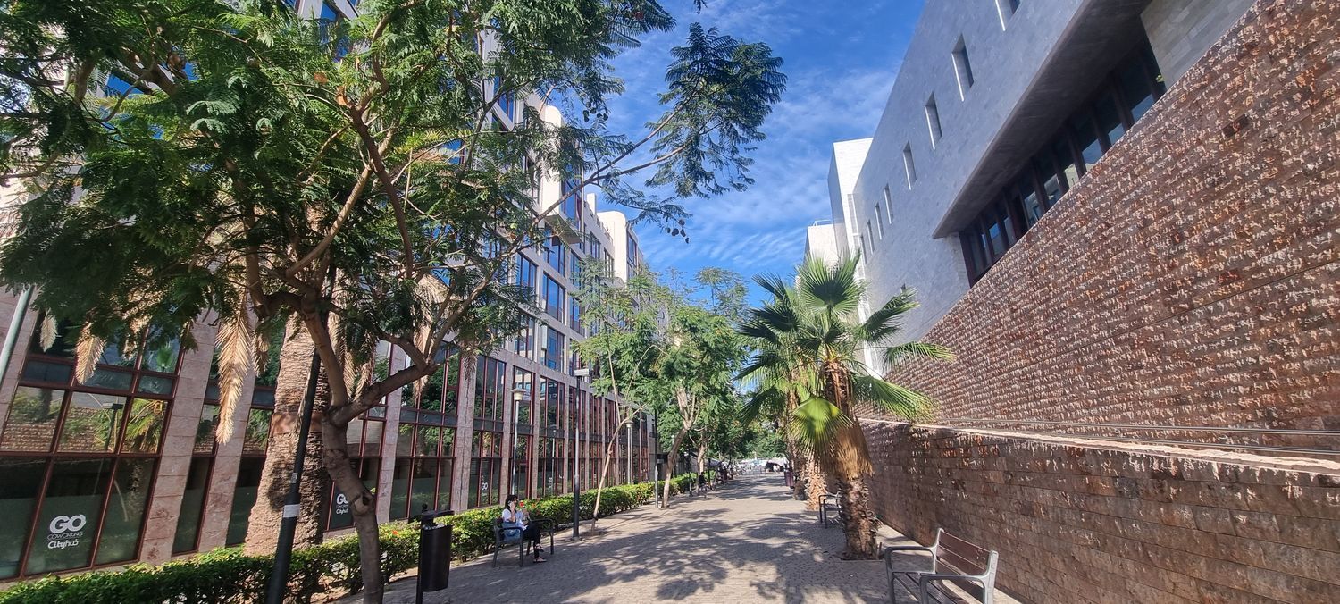 Pisos-Venta-Las Palmas de Gran Canaria-1506908-Foto-29