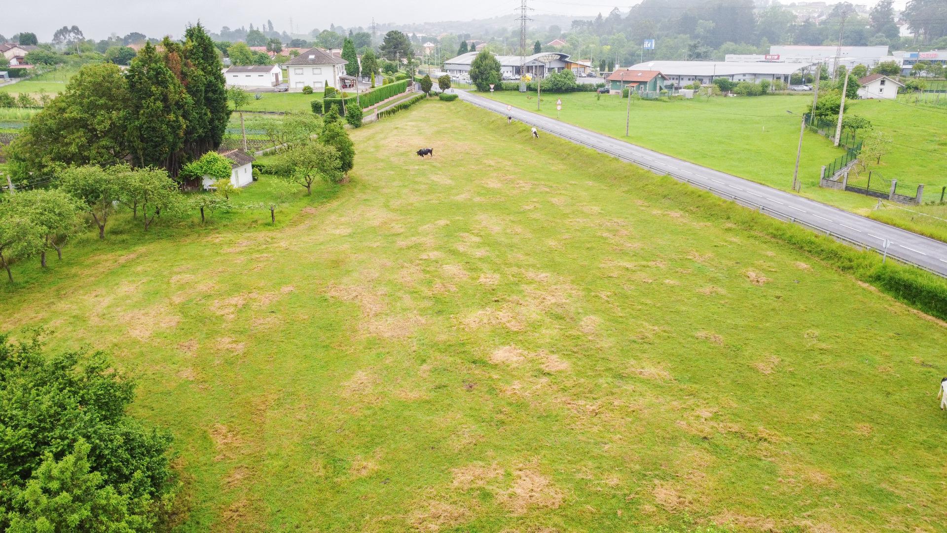 Plot in Llanera