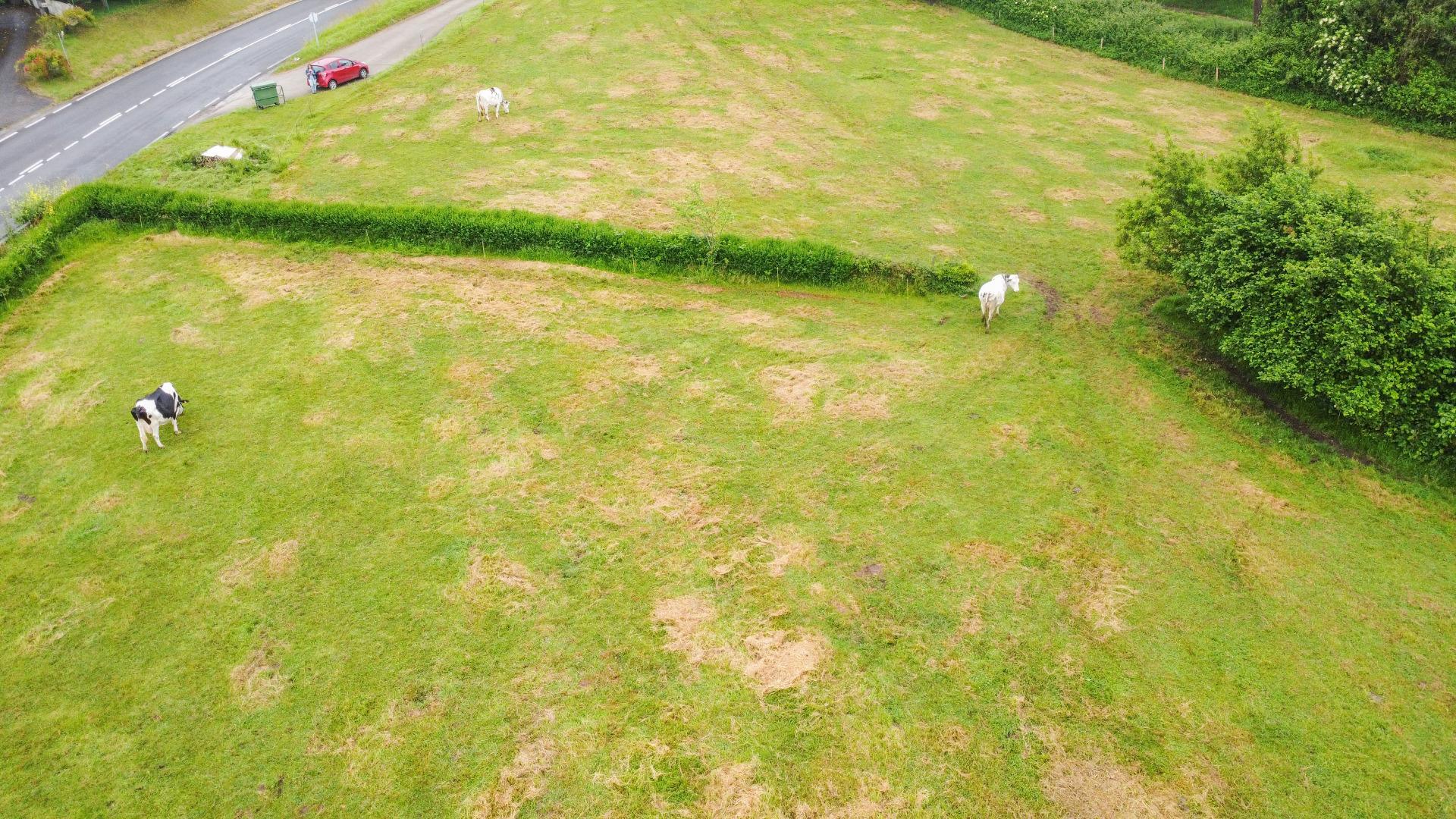 Plot in Llanera