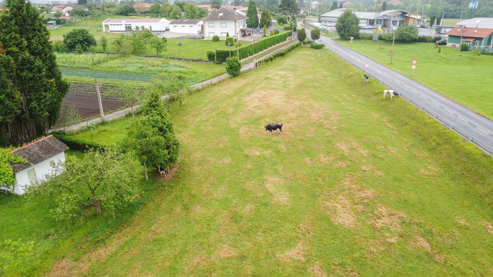 Plot in Llanera