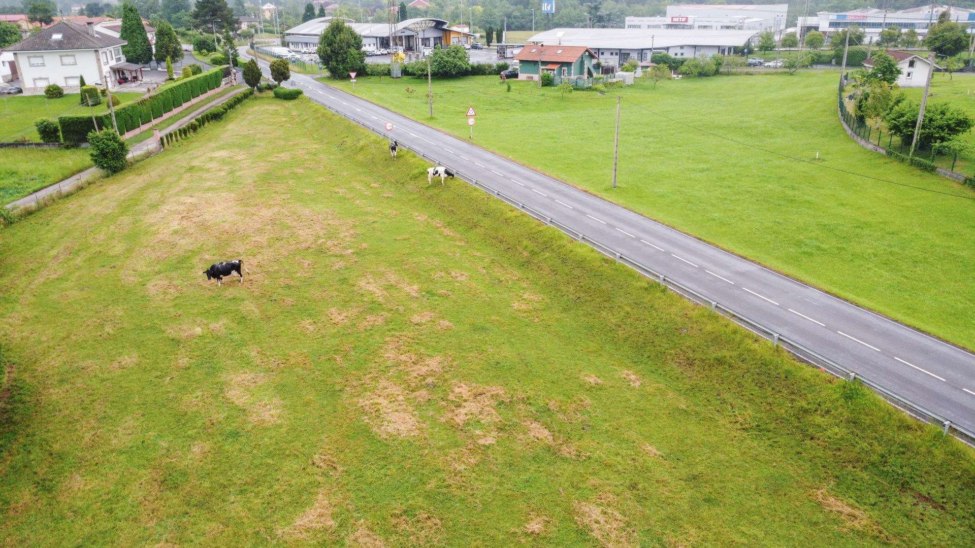 Plot in Llanera