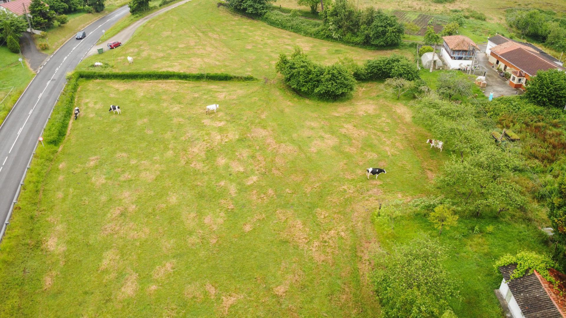 Plot in Llanera