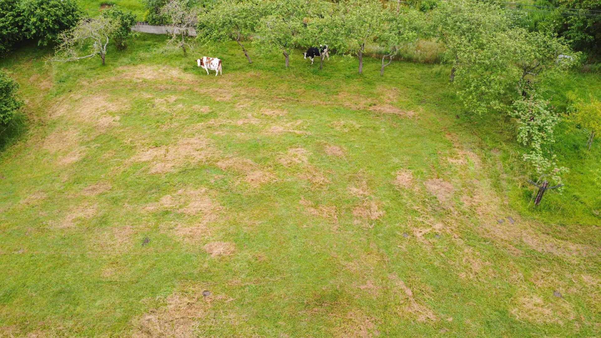 Plot in Llanera