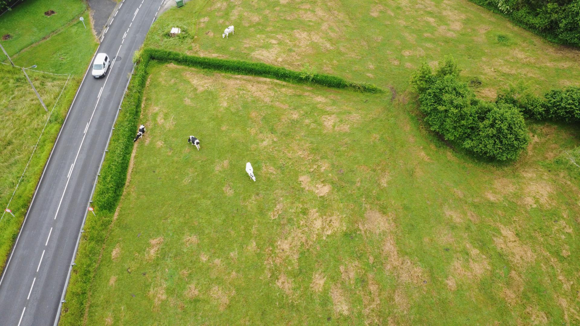 Plot in Llanera