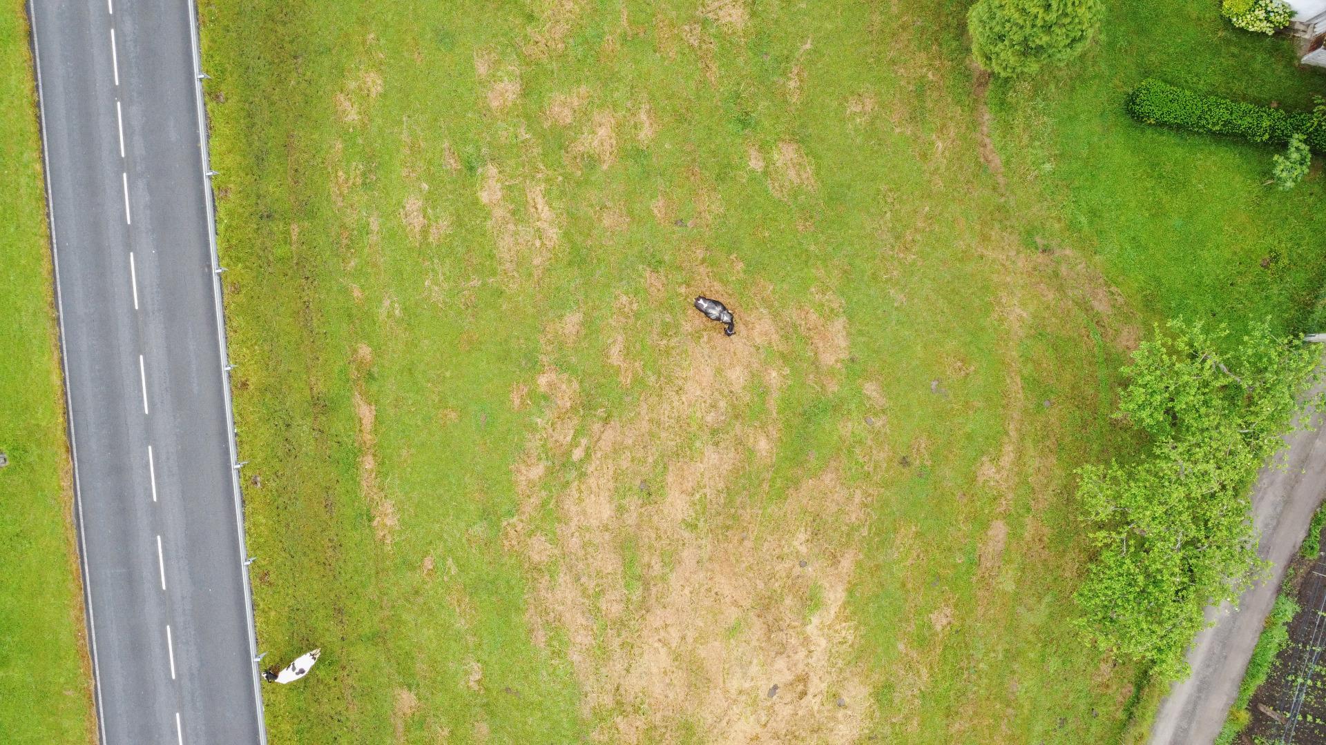 Plot in Llanera