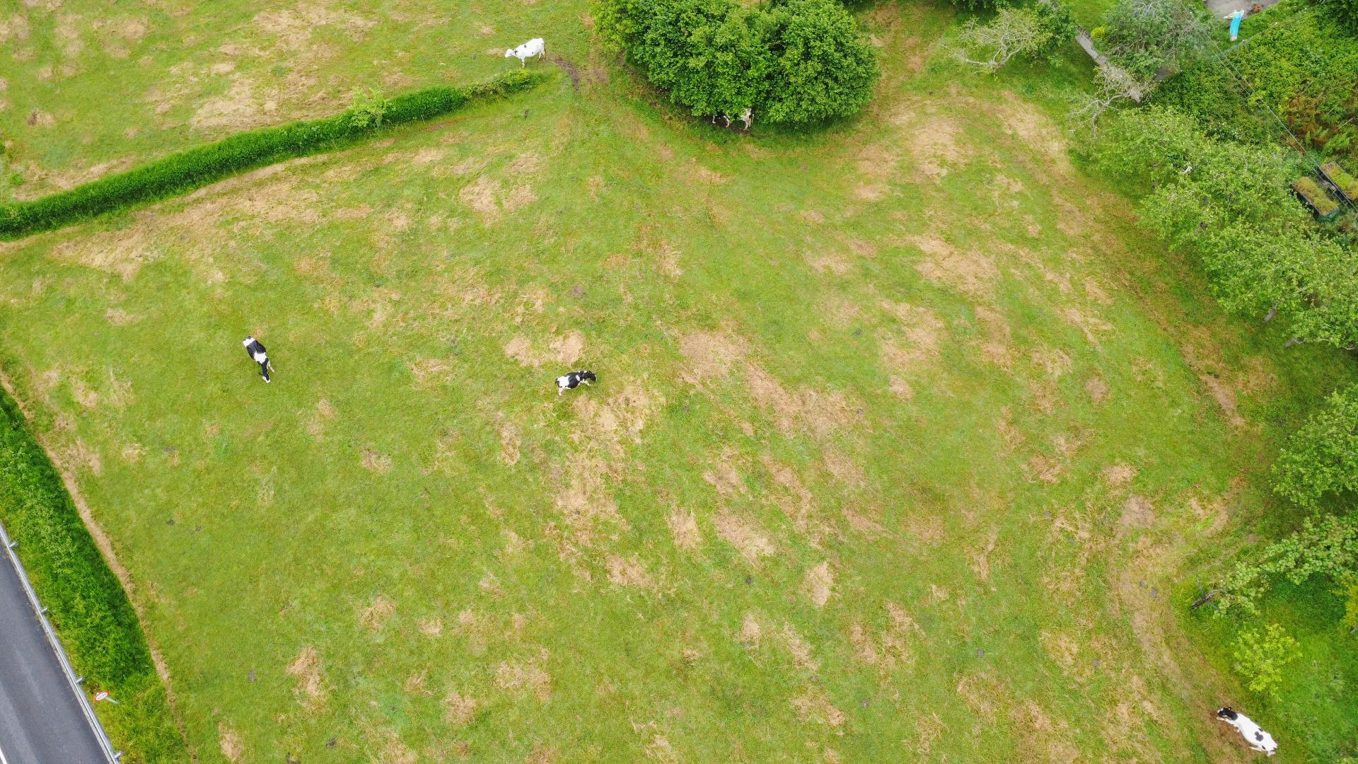 Plot in Llanera