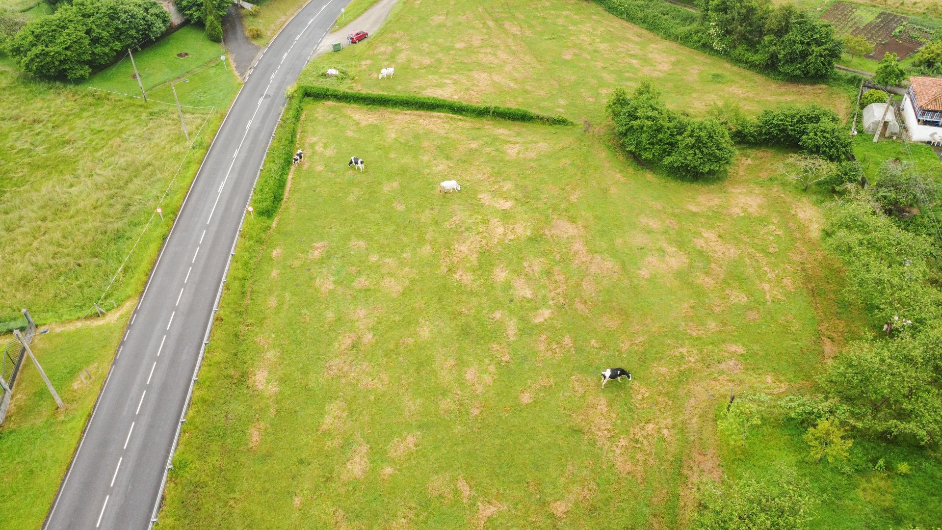 Plot in Llanera