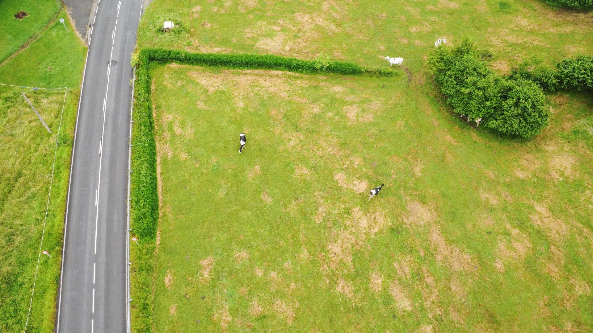 Plot in Llanera