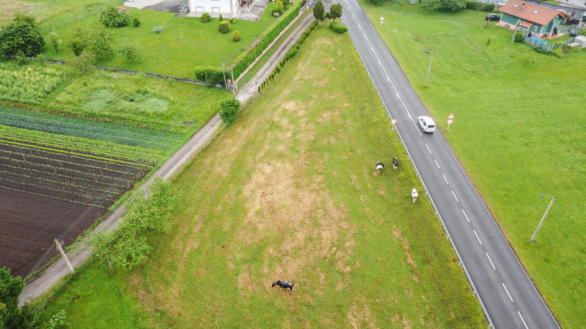 Plot in Llanera