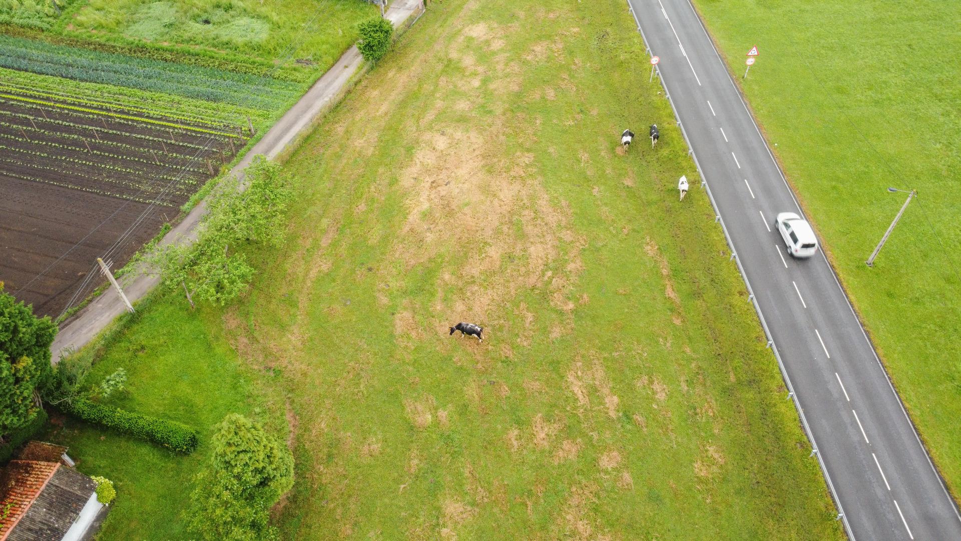 Plot in Llanera