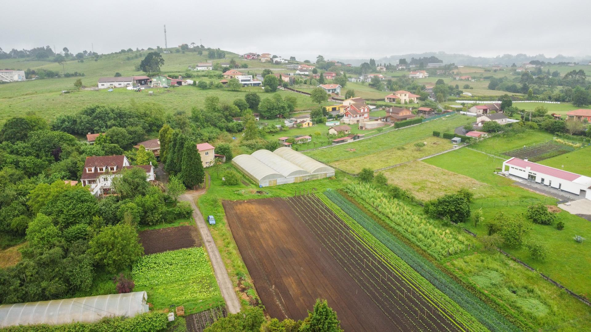 Plot in Llanera