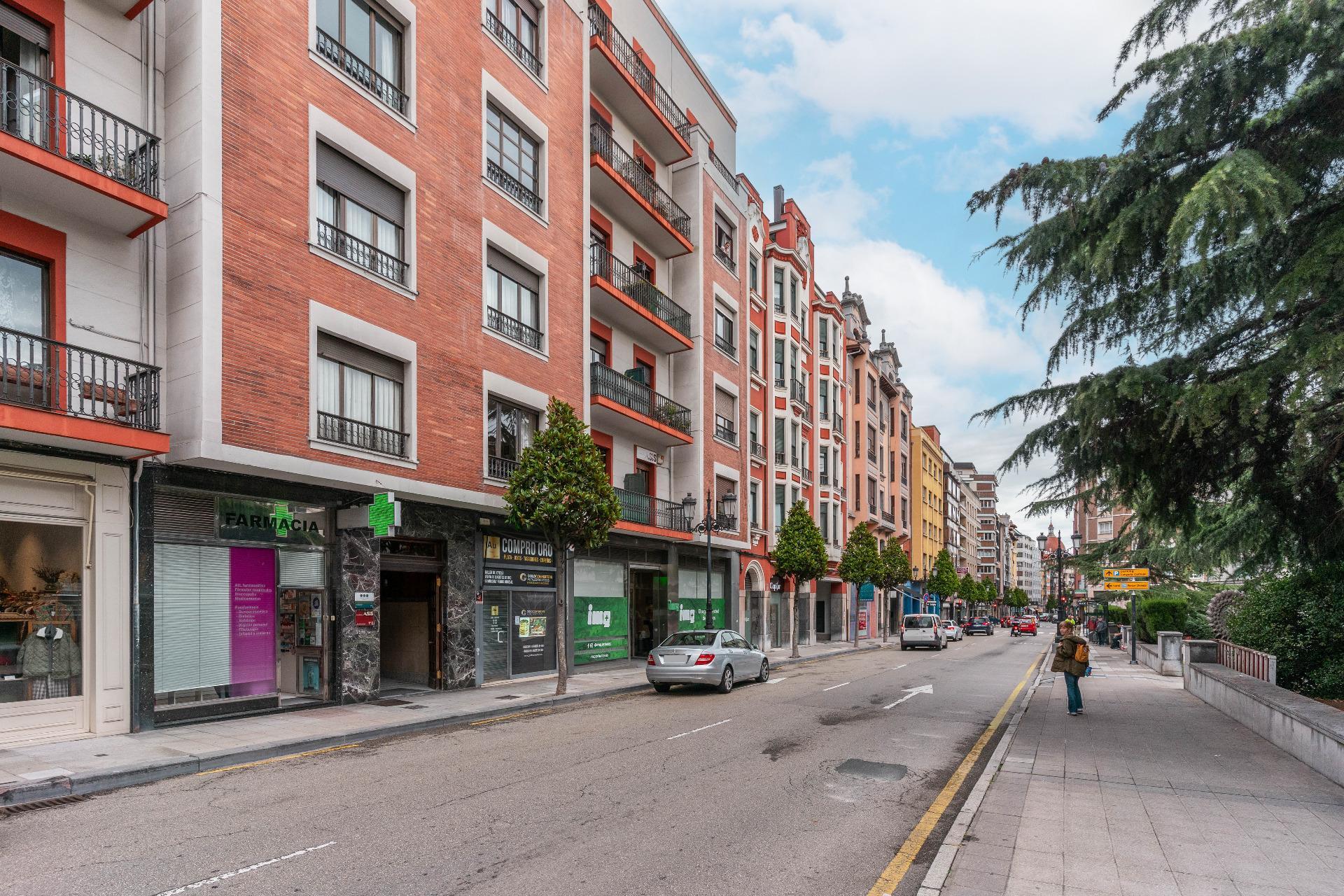 Apartment in Oviedo