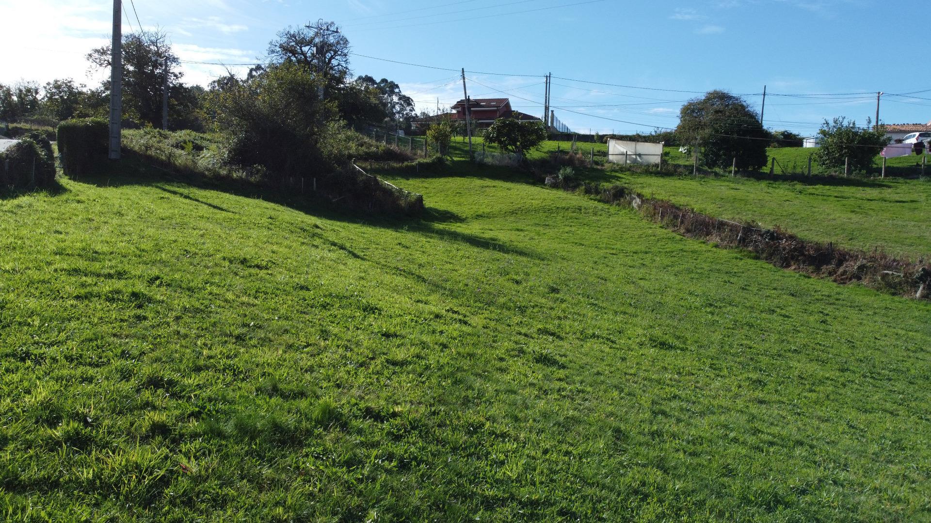 Plot in Siero