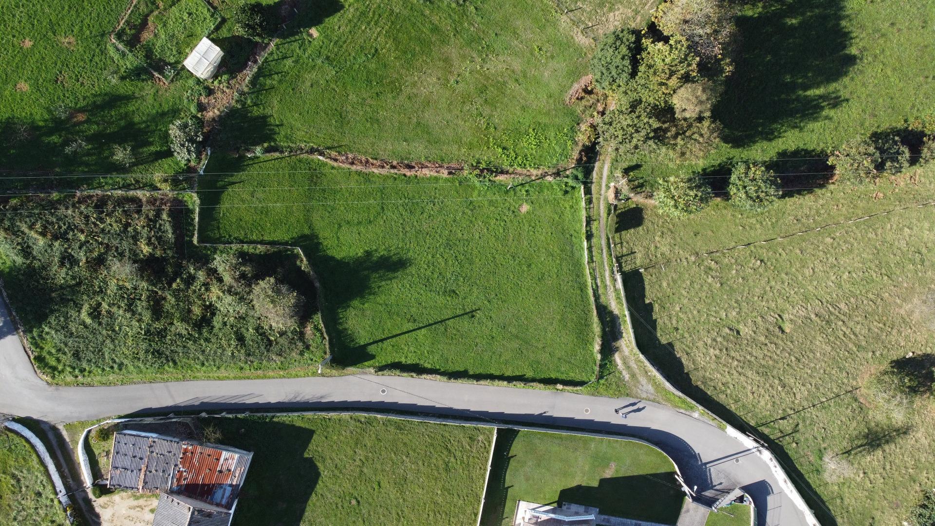 Plot in Siero