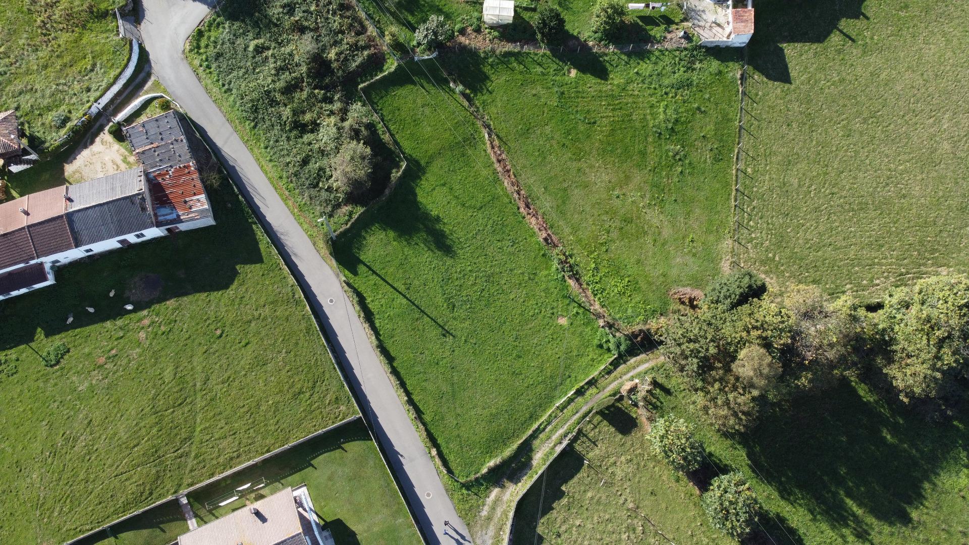 Plot in Siero
