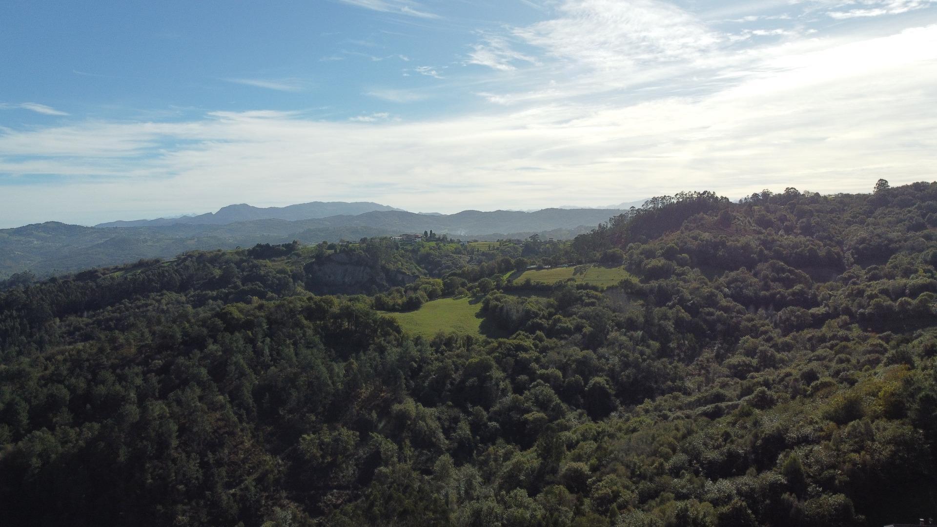 Plot in Siero
