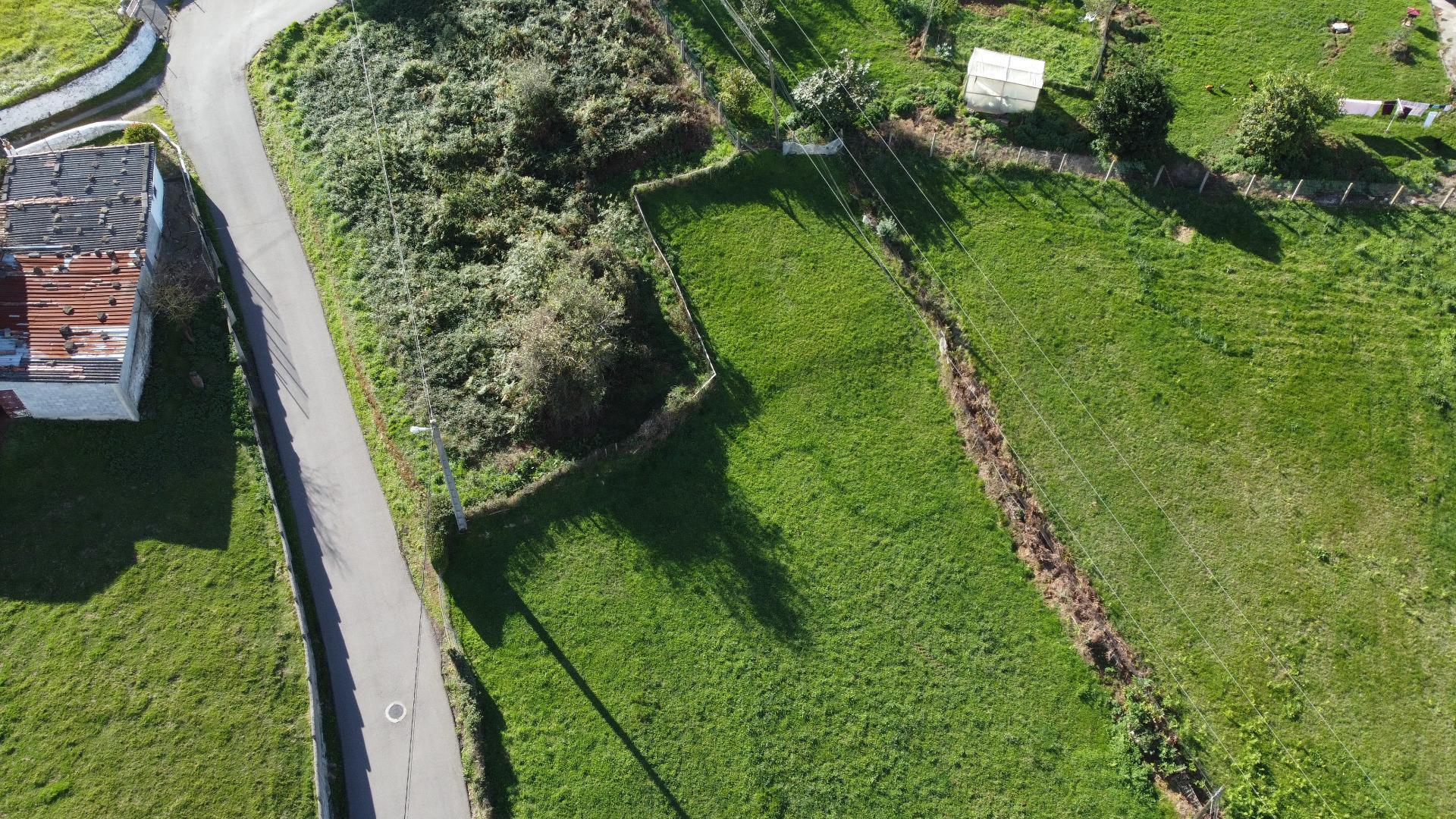 Plot in Siero